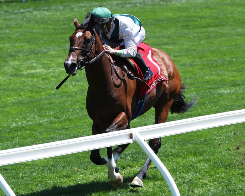 Cameo Performance wins at Keeneland
