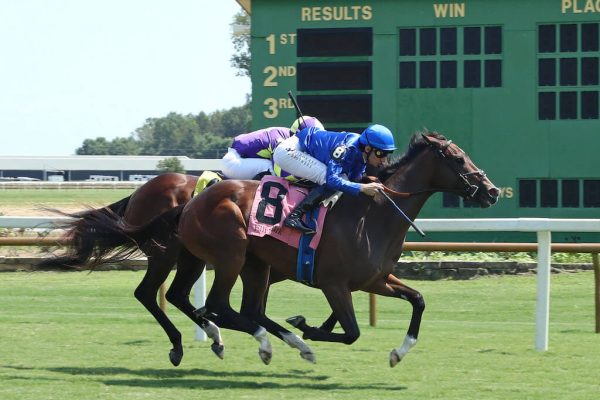 Civetta breaks maiden in impressive fashion