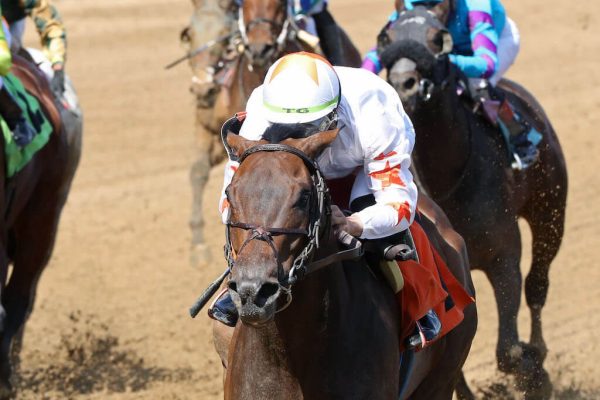 Curlin's Gesture wins at Churchill Downs