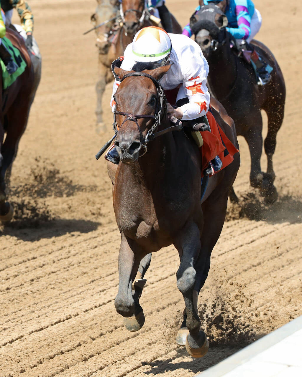 Curlin's Gesture wins at Churchill Downs