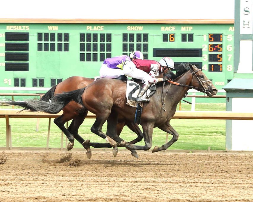 Curlin's Gesture wins at Ellis Park