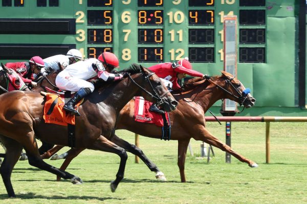 Double Neat wins at Ellis and secures training title