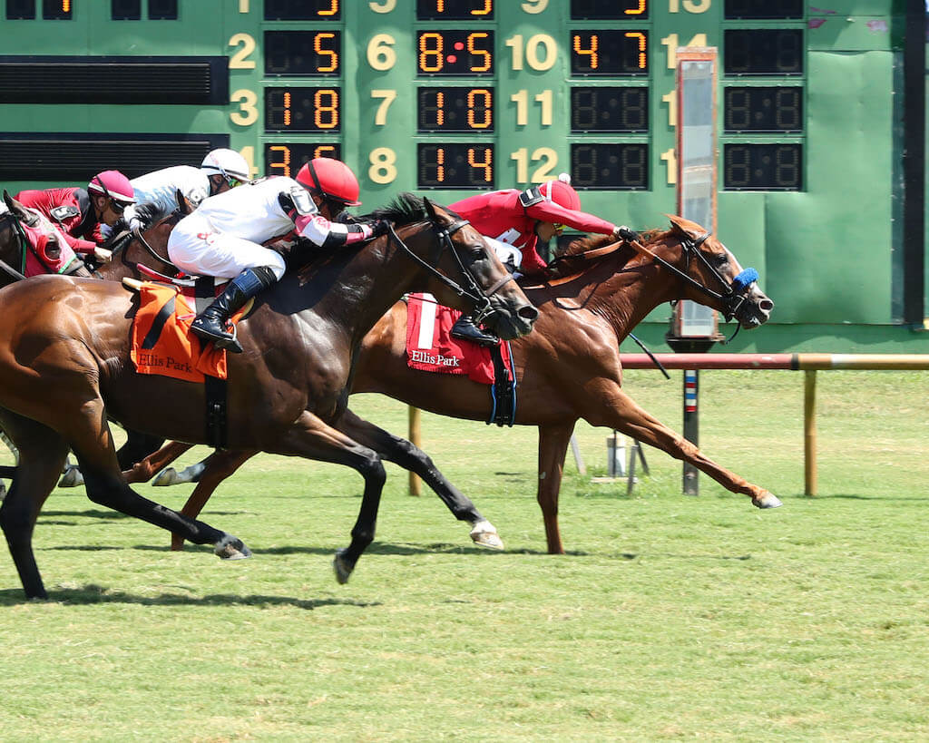 Double Neat wins at Ellis and secures training title