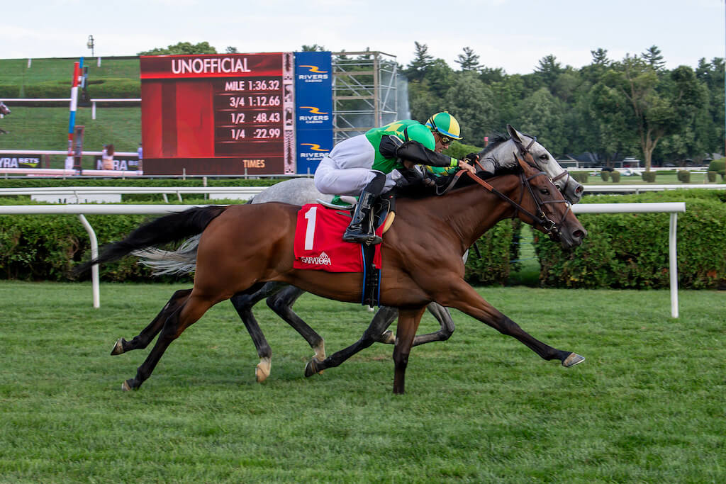 Proctor Street makes it two for two at SAR