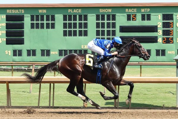 East Avenue a TDN Rising Star at Ellis Park