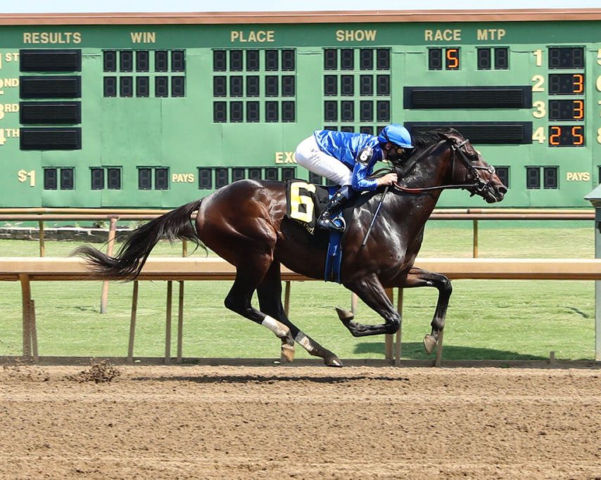 East Avenue a TDN Rising Star at Ellis Park