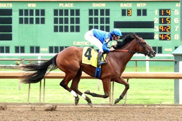 Pondering breaks maiden in impressive fashion at Ellis Park