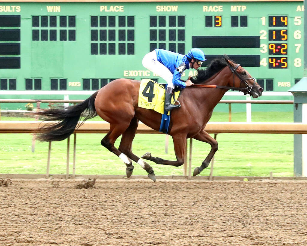 Pondering breaks maiden in impressive fashion at Ellis Park
