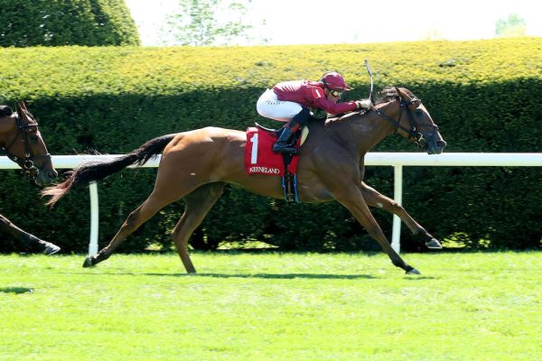 Waves of Mischief wins on debut at Keeneland