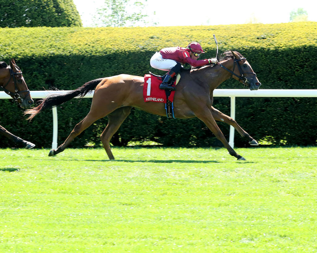 Waves of Mischief wins on debut at Keeneland