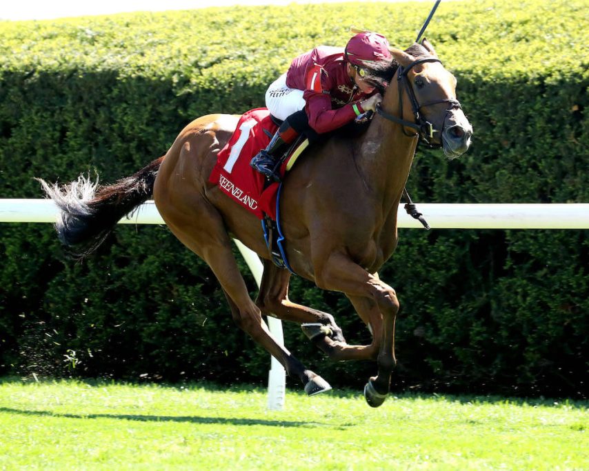 Waves of Mischief a debut winner at Keeneland