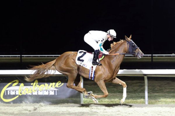 Whappen wins a Maiden Special Weight at Turfway Park.