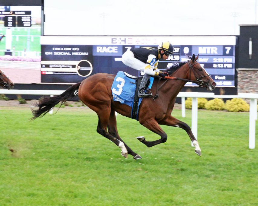 Indigo Stunner an easy winner at Horseshoe Indianapolis