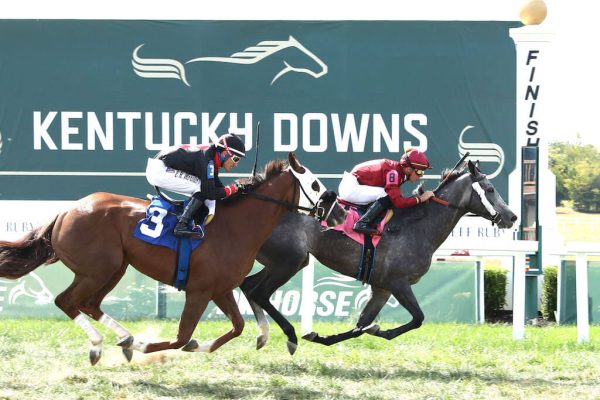 Queen Regent wins her first start for Brendan Walsh in USA