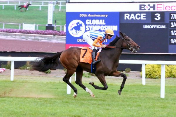 Swan House breaks Maiden impressively at Indiana