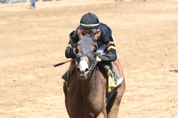 Union Mist wins Maiden Special Weight at Churchill Downs
