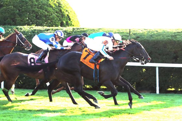 Clouwalker wins Allowance at Keeneland