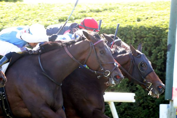 El Joury edges out competitors for a win in Maiden Special Weight company on Keeneland closing day