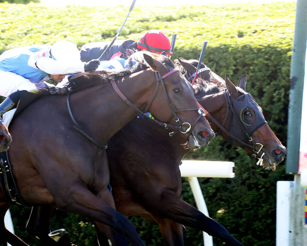 El Joury edges out competitors for a win in Maiden Special Weight company on Keeneland closing day
