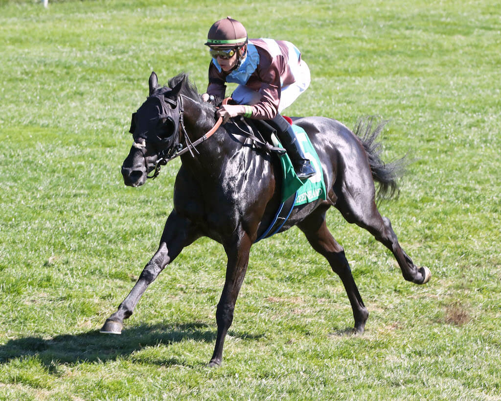 Hit That Review (IRE) secures a victory on his fourth attempt