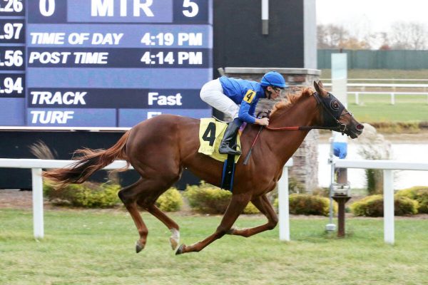 Novara wins at Horseshoe Indianapolis on her seventh trip to the races!