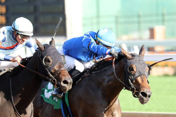 Paris Lily fights back to break her Maiden at Churchill Downs