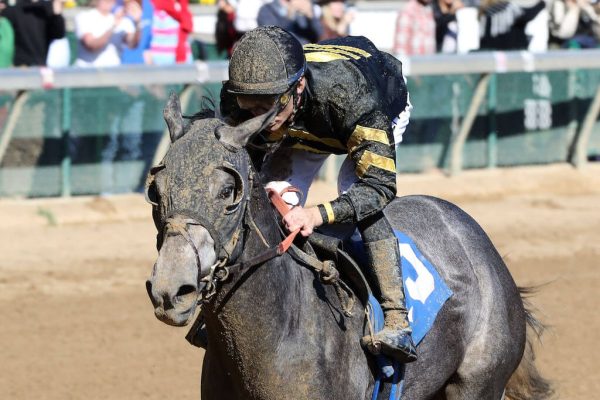 Sonic Skidaddle circles the field to win a Maiden Special Weight at Churchill Downs