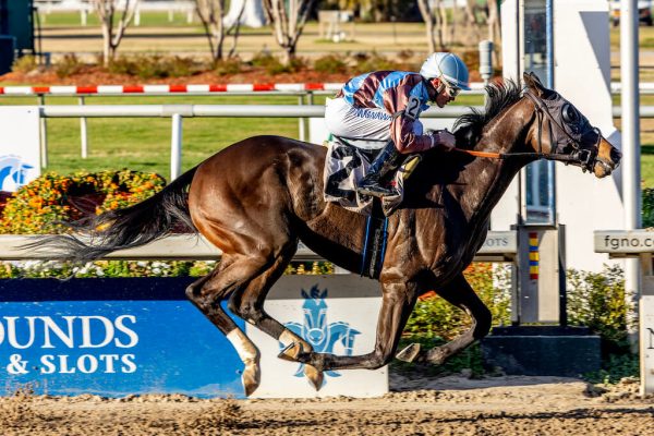San Siro a runaway winner at the Fair Grounds