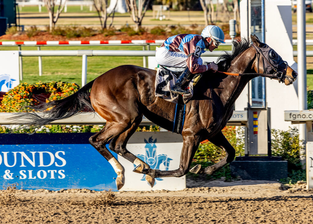 San Siro a runaway winner at the Fair Grounds