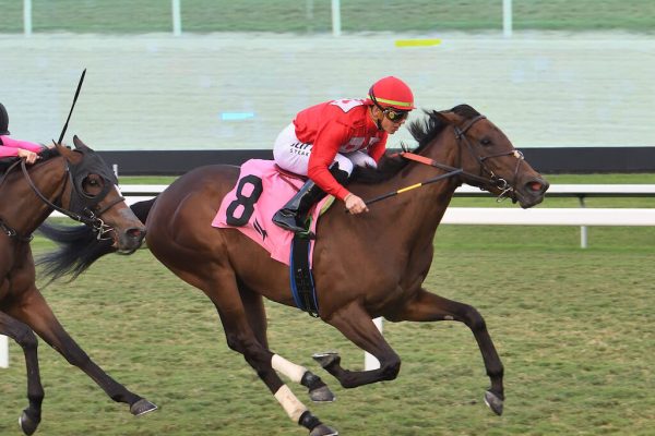 Temple City Taboo breaks Maiden at first asking and gets claimed!