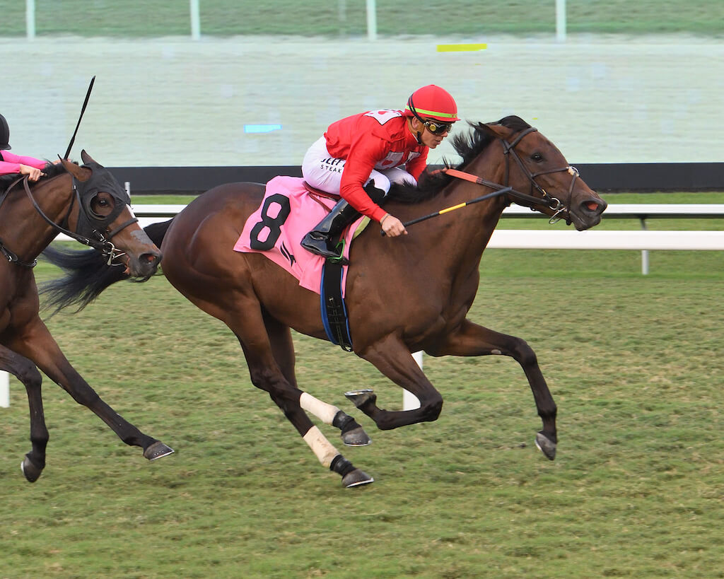 Temple City Taboo breaks Maiden at first asking and gets claimed!
