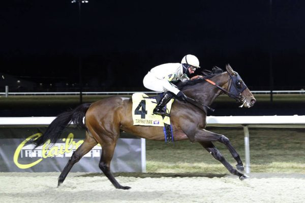 Win and claim for Baba Voss at Turfway Park