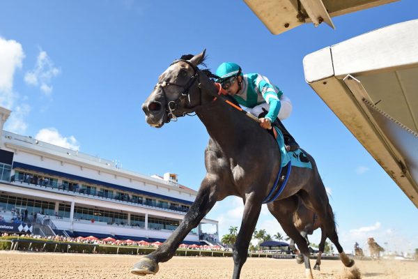 Gosger an impressive Maiden Special Weight winner