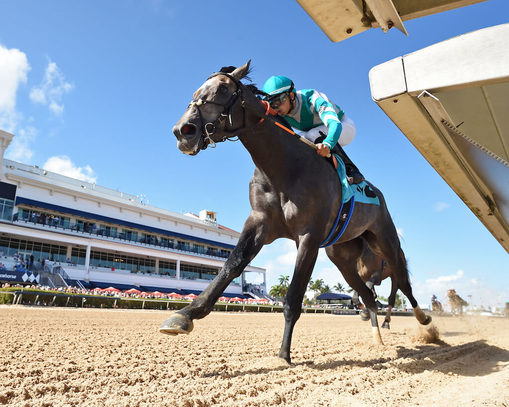 Gosger an impressive Maiden Special Weight winner