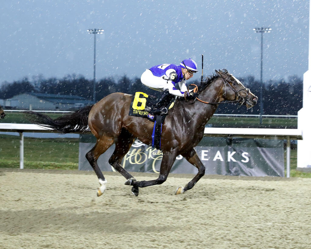 Verbal returns to the Winner's Circle at Turfway Park